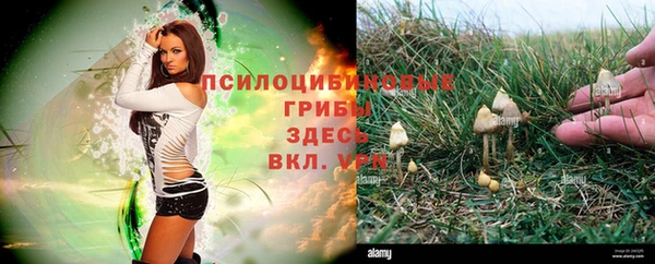кристаллы Абаза